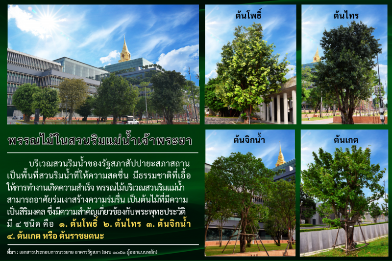 พรรณไม้ในสวนริมแม่น้ำเจ้าพระยา